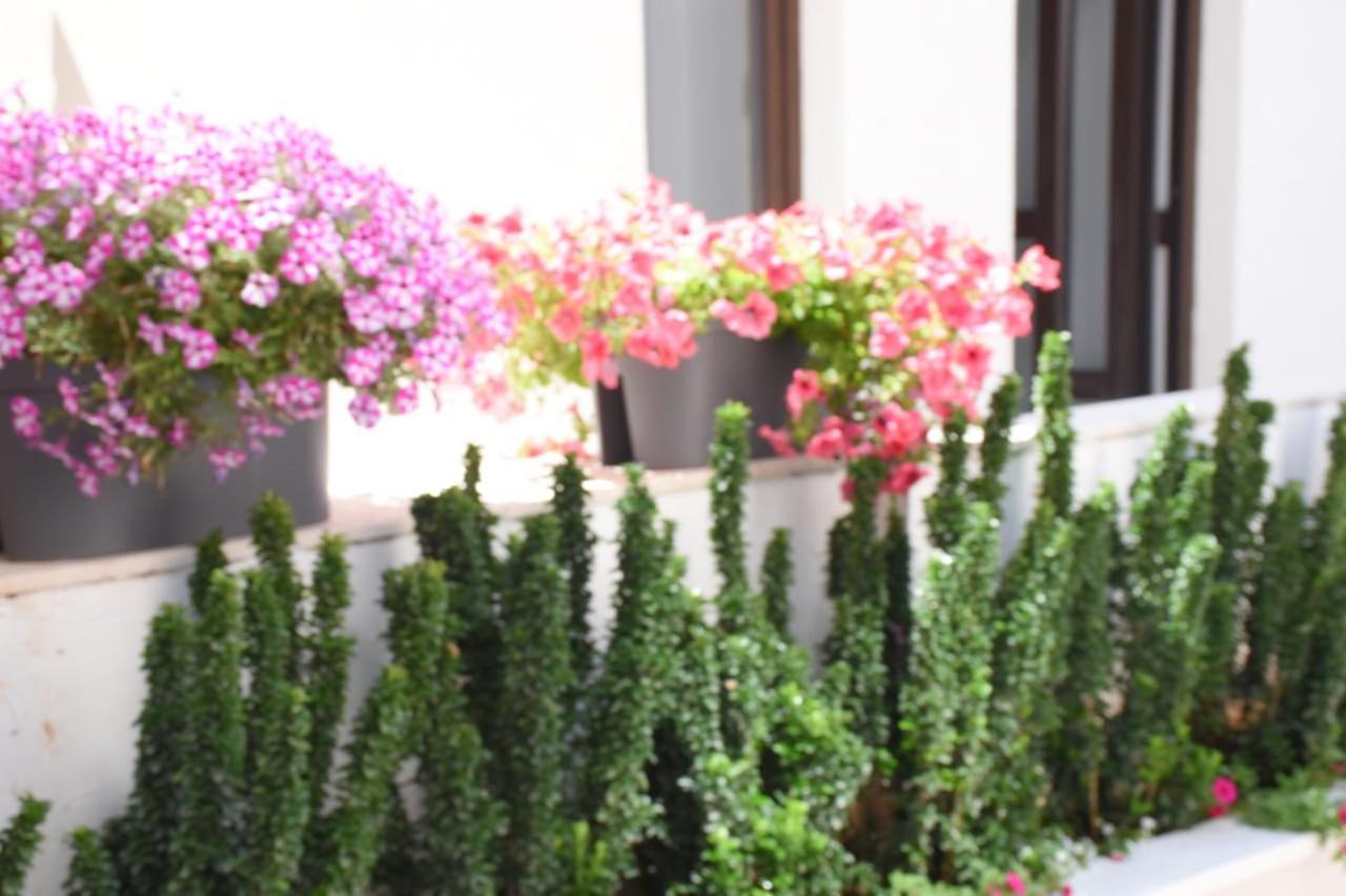Apartments Petar Budva Exterior photo